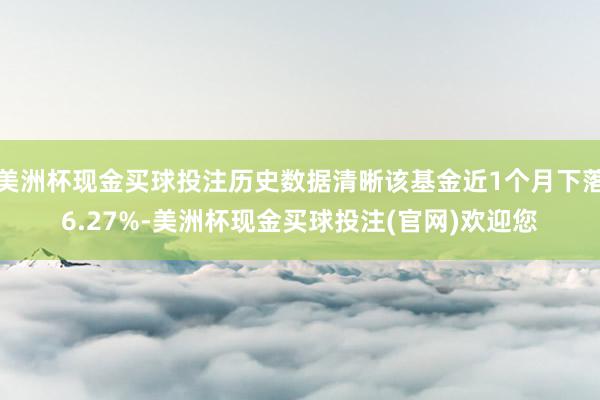 美洲杯现金买球投注历史数据清晰该基金近1个月下落6.27%-美洲杯现金买球投注(官网)欢迎您