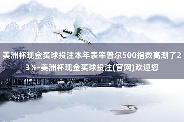 美洲杯现金买球投注本年表率普尔500指数高潮了23%-美洲杯现金买球投注(官网)欢迎您