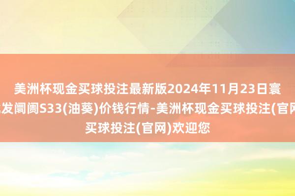 美洲杯现金买球投注最新版2024年11月23日寰宇主要批发阛阓S33(油葵)价钱行情-美洲杯现金买球投注(官网)欢迎您