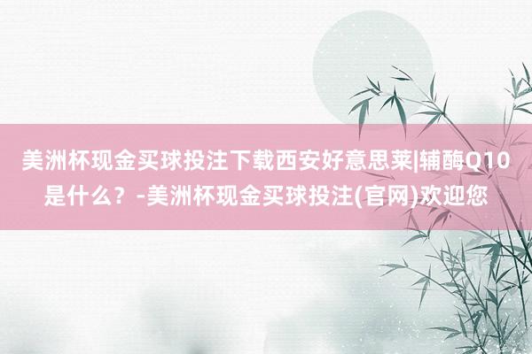 美洲杯现金买球投注下载西安好意思莱|辅酶Q10是什么？-美洲杯现金买球投注(官网)欢迎您