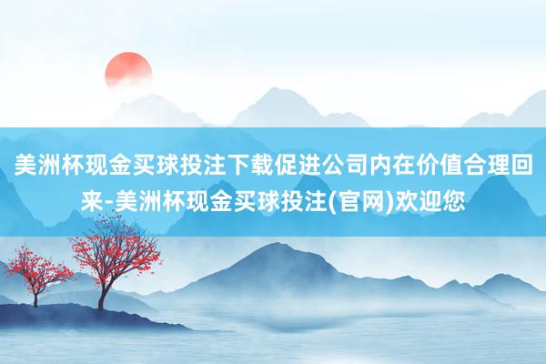 美洲杯现金买球投注下载促进公司内在价值合理回来-美洲杯现金买球投注(官网)欢迎您
