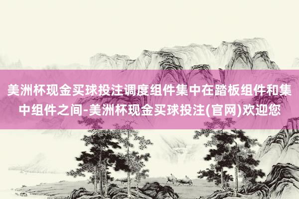 美洲杯现金买球投注调度组件集中在踏板组件和集中组件之间-美洲杯现金买球投注(官网)欢迎您