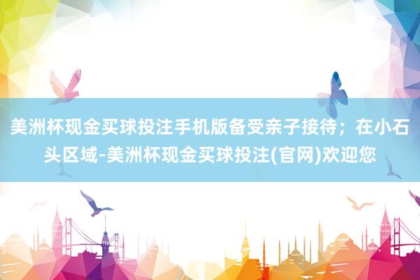 美洲杯现金买球投注手机版备受亲子接待；在小石头区域-美洲杯现金买球投注(官网)欢迎您