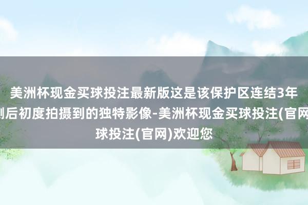 美洲杯现金买球投注最新版这是该保护区连结3年开展监测后初度拍摄到的独特影像-美洲杯现金买球投注(官网)欢迎您