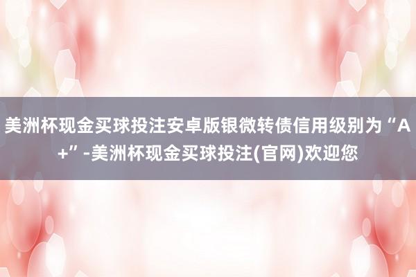 美洲杯现金买球投注安卓版银微转债信用级别为“A+”-美洲杯现金买球投注(官网)欢迎您